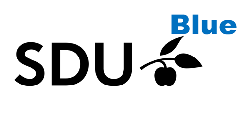 BlueSDU_logo500 .png