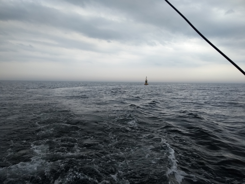 PP1_15_Fig.3._We_are_not_the_only_ones_collecting_marine_data._A_lonely_ODAS_buoy_in_the_wake.jpg