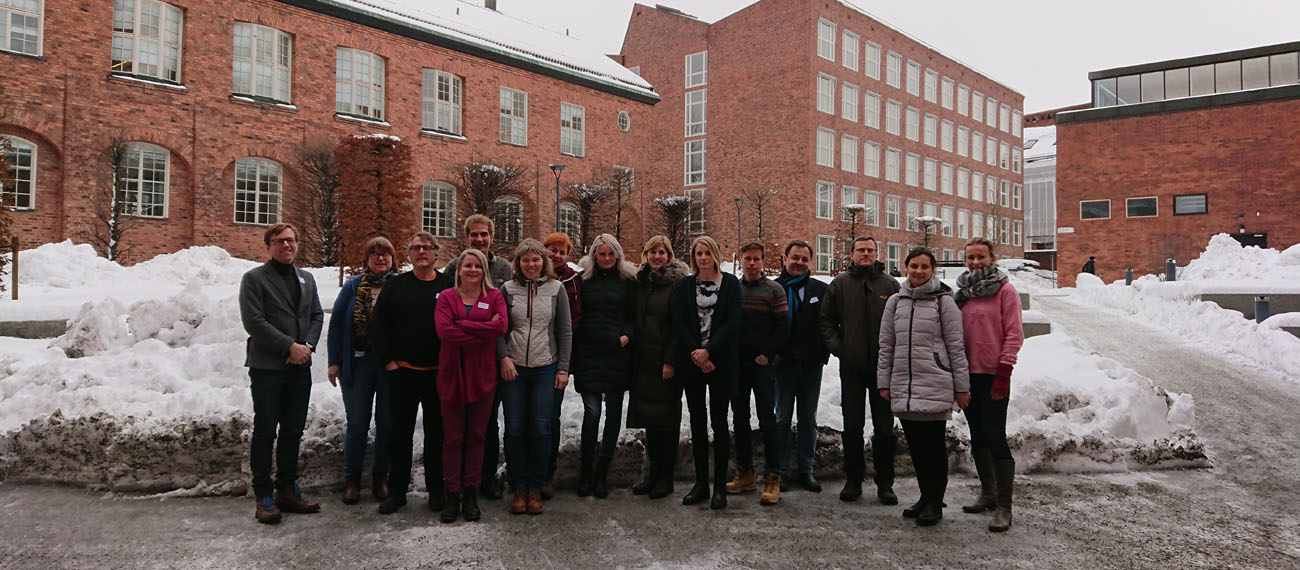 group of partners in Sweden