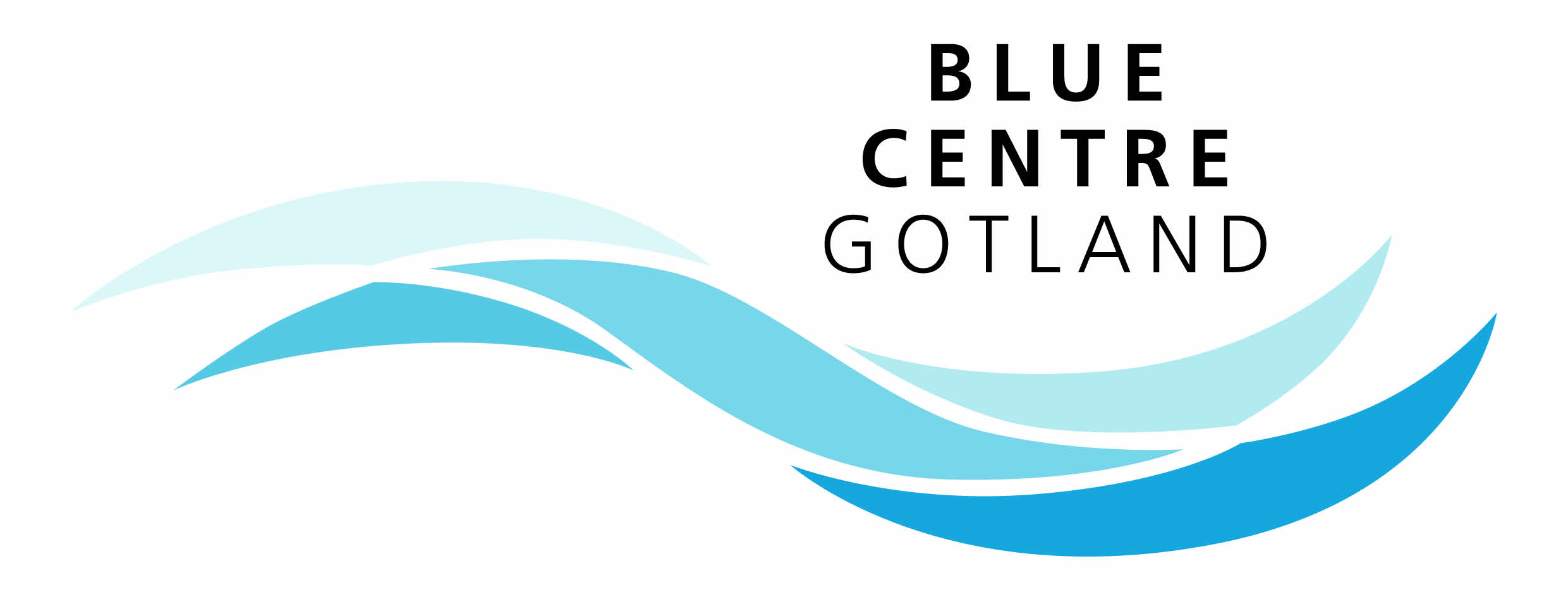 BCG logo 