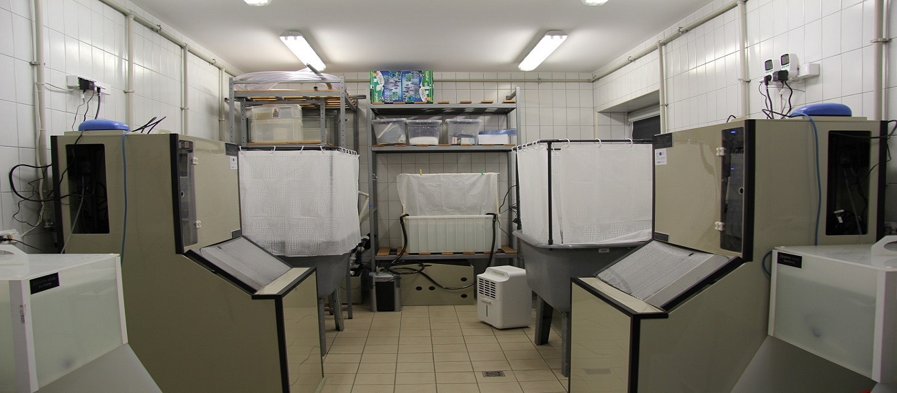 RAS 500 – a small scale laboratory system for shrimp cultivation at the Institute of Oceanography, University of Gdansk
